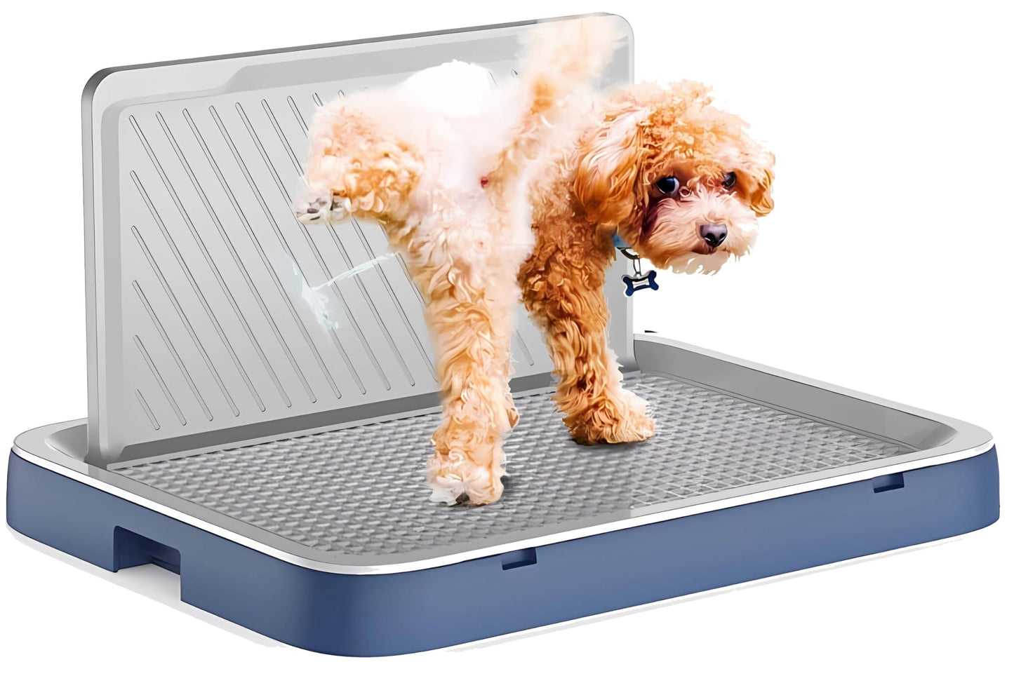 fshns pee pad tray for medium and small dogs little puppy indoor potty training pad holder with pee wall for male dogs